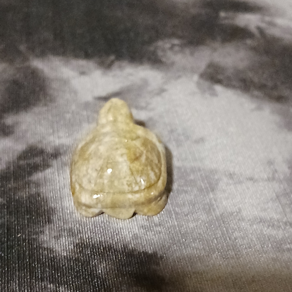 Crystal Turtle - Picture 4 of 8